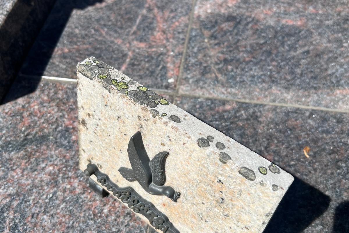 WhatsApp Image 2025-07-21 at 10.13.31 (28)