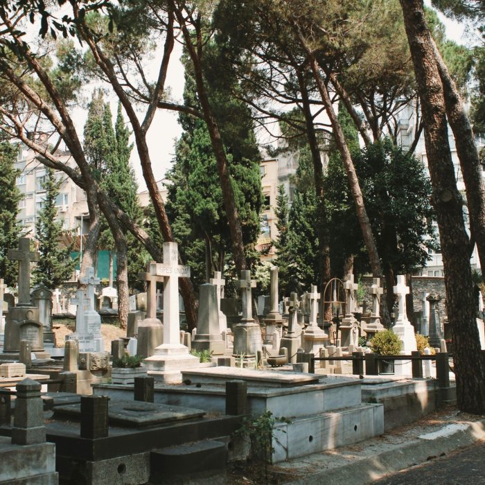 pexels-perapiiz-17662712